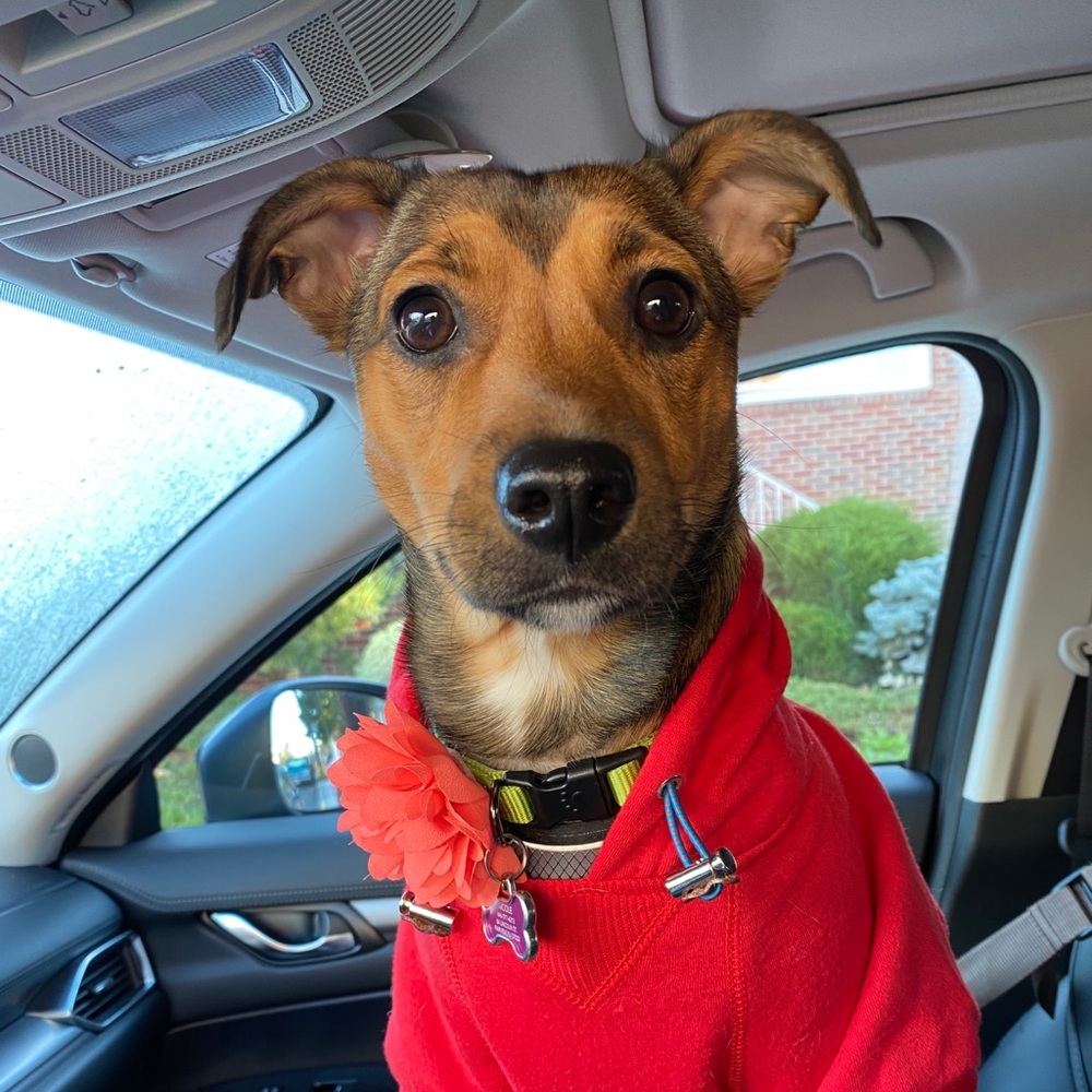 Meet your Posher, Nick